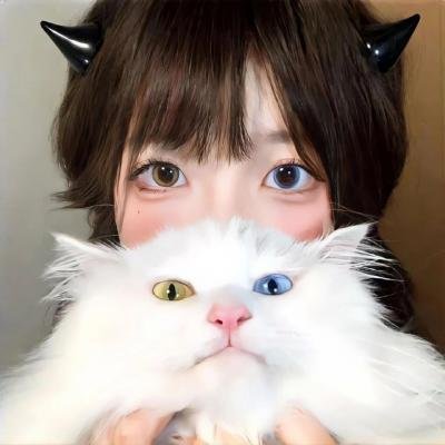 最后的决斗