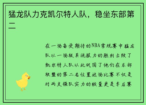 猛龙队力克凯尔特人队，稳坐东部第二